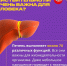 Снимок ПЕЧЕНЬ1.jpg - Усть-Канский район
