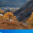 240925_1138.jpg - Усть-Канский район